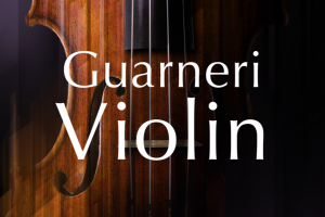 小提琴音源 Native Instruments Guarneri Violin v2.0.0 [KONTAKT]