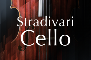 大提琴音源 Native Instruments Stradivari Cello v2.0.0 [KONTAKT]