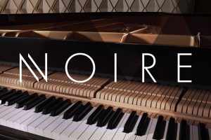 钢琴音源 Native Instruments Noire v1.2.1 [KONTAKT]