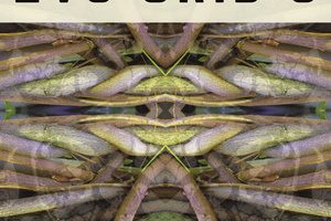 Spitfire Audio PP021 Evo Grid 3 [KONTAKT]