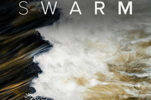 Spitfire Audio Mandolin Swarm [KONTAKT]