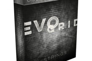 Spitfire Audio Evo Grid 01 Strings [KONTAKT]
