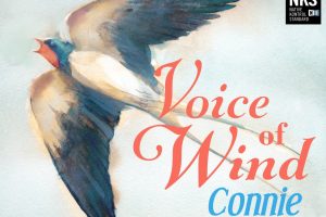 Soundiron Voice of Wind: Connie v1.0 [KONTAKT]