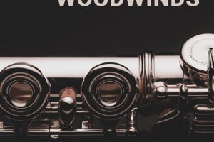8Dio Intimate Studio Woodwinds [KONTAKT]