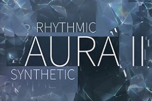 8Dio The New Rhythmic Aura Vol.2 [KONTAKT]