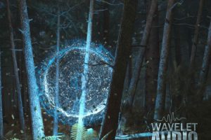 Wavelet Audio Senfine [KONTAKT]