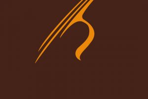 8Dio Adagio Violins v1.1 [KONTAKT]