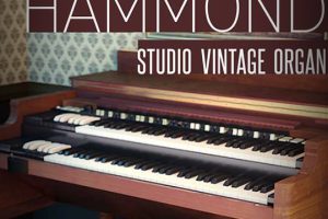 8Dio Studio Vintage Series Studio Organ [KONTAKT]