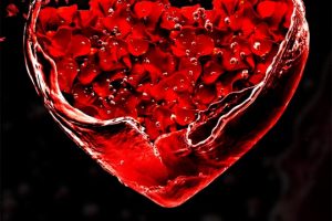 8Dio 8DM Flow House Vol.2 [KONTAKT]