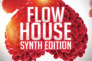 8Dio 8DM Flow House Synth Edition [KONTAKT]