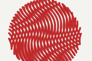 8Dio Studio Percussion Exotic [KONTAKT]