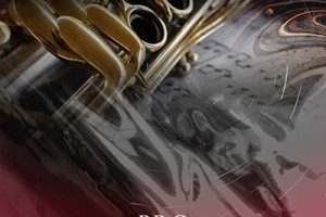 Cinesamples CineWinds PRO v1.4 [KONTAKT]