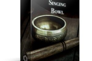 Fracture Sounds Singing Bowl v1.0 [KONTAKT]