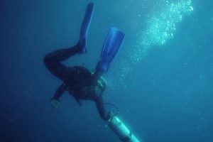 Performance Samples Solos of the Sea Solo Violin A [KONTAKT]