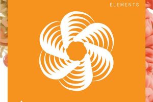 iZotope Nectar Elements v3.10 [WiN]