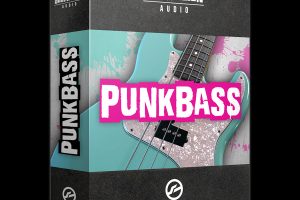 Submission Audio Punk Bass [KONTAKT]