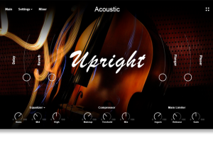 Muze Upright Bass [KONTAKT]