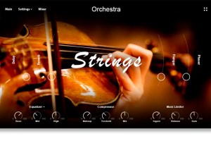 Muze Strings Solo [KONTAKT]