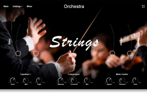 Muze Strings Ensemble [KONTAKT]