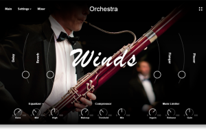 Muze Woodwinds Ensemble [KONTAKT]