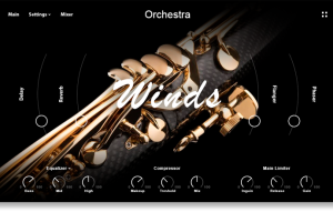 Muze Woodwinds Solo [KONTAKT]