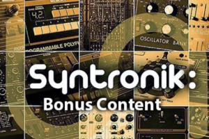 IK Multimedia Syntronik Bonus Content [Syntronik]
