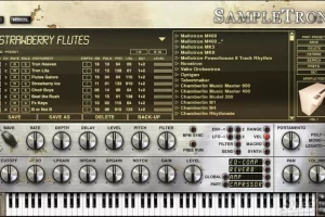 IK Multimedia SampleTron Instruments [WiN]