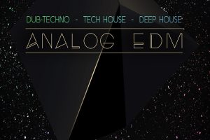 Big Fish Audio Analog EDM [MULTiFORMAT, KONTAKT]