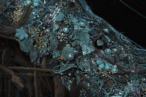 Spitfire Audio Albion Solstice v1.0.1 [KONTAKT]