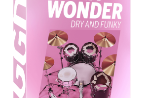 GetGood Drums One Kit Wonder Dry And Funky [KONTAKT]