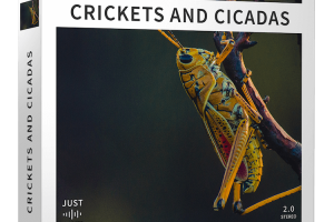 Just Sound Effects Crickets and Cicadas [WAV]
