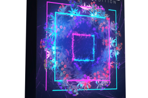 StiickzZ Sticky Sounds Chainsmokers Edition [Synth Presets]