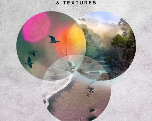 Black Octopus Sound Ambient Atmospheres And Textures [WAV]