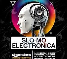Singomakers Slo-Mo Electronica [WAV, REX]