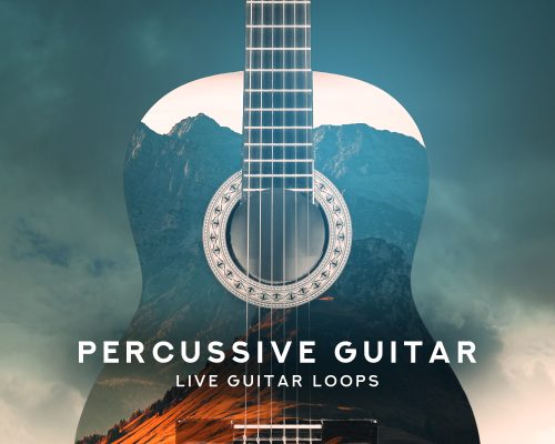 Black Octopus Sound Percussive Guitar [WAV]