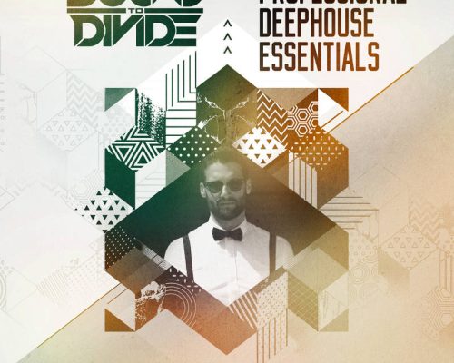 Black Octopus Sound Professional Deep House Essentials [WAV, MiDi, Synth Presets]