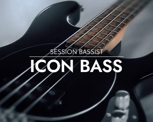贝斯音源 Native Instruments Session Bassist Icon Bass [KONTAKT]
