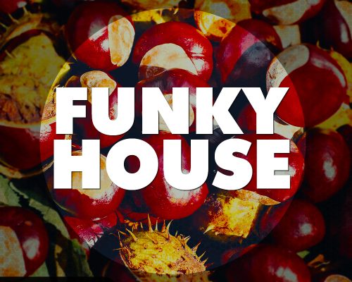 Big EDM Funky House [WAV, MiDi, Synth Presets]