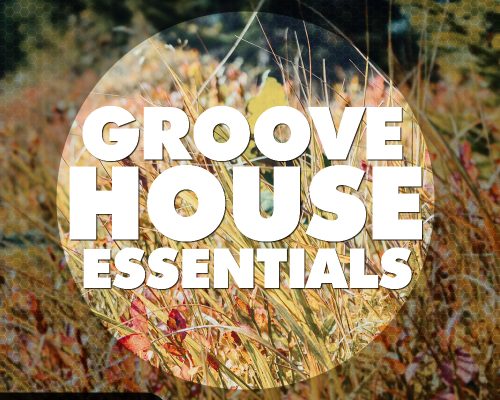 Big EDM Groove House Essentials [WAV, MiDi, Synth Presets]