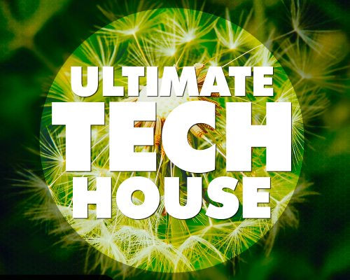 Big EDM Ultimate Tech House [WAV, MiDi, Synth Presets]