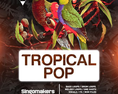 Singomakers Tropical Pop [MULTiFORMAT]
