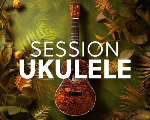 Native Instruments Session Ukulele [KONTAKT]