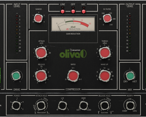 Acustica Audio Olive 2023 [WiN]