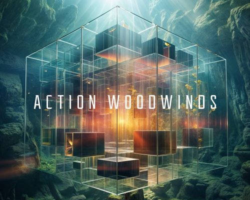 Native Instruments Action Woodwinds v1.0.0 [KONTAKT]