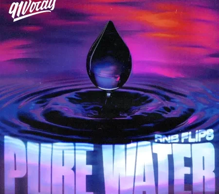 91Vocals Pure Water – RnB Flips [WAV]