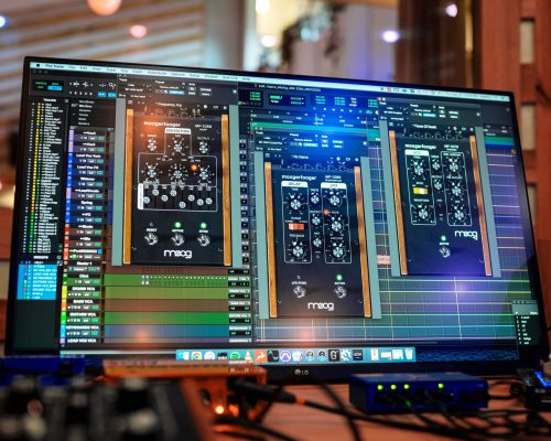 Moog Music Plugins Bundle 2024 [WiN]